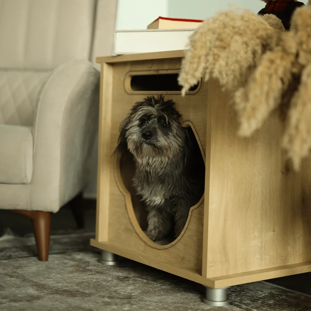 foxie-modern-dog-house-1.jpg