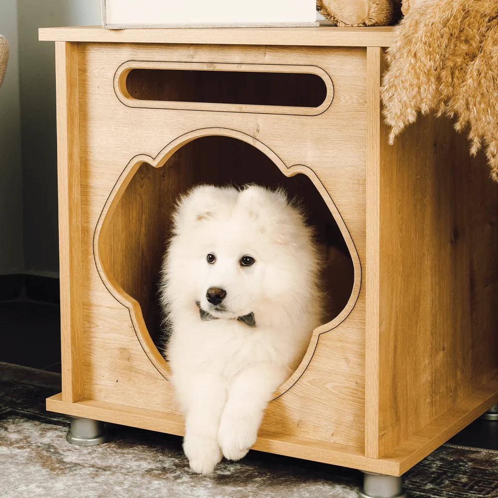 foxie-modern-dog-house-5.jpg