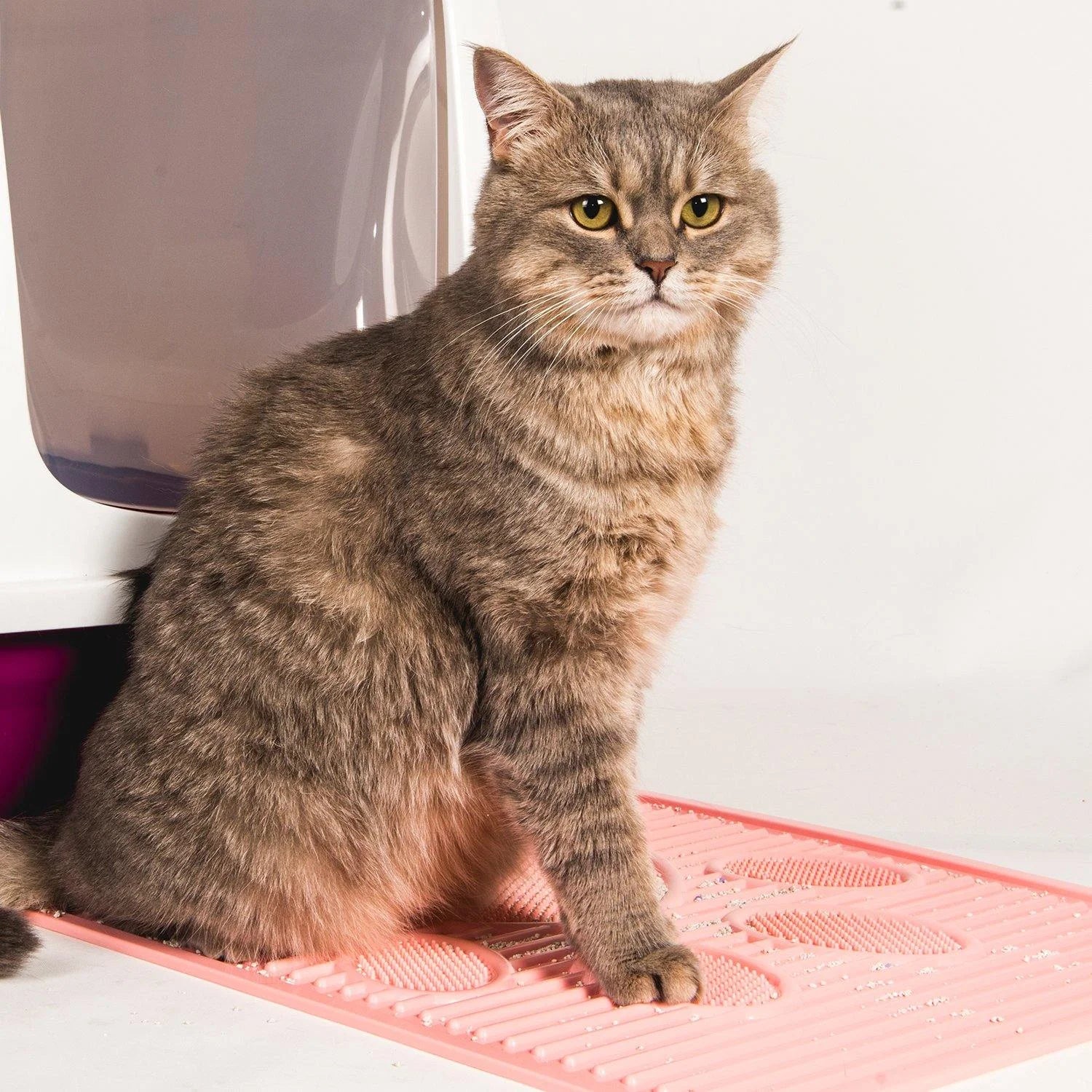 waterproof-cat-litter-mat-7.jpg